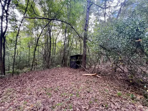 122 Whitehead Road Abbeville AL 36310