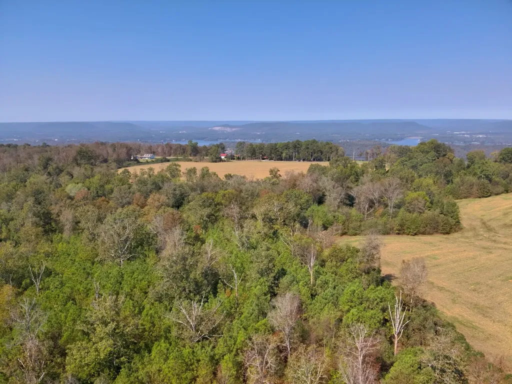 0 Highway 43 Section AL 35771