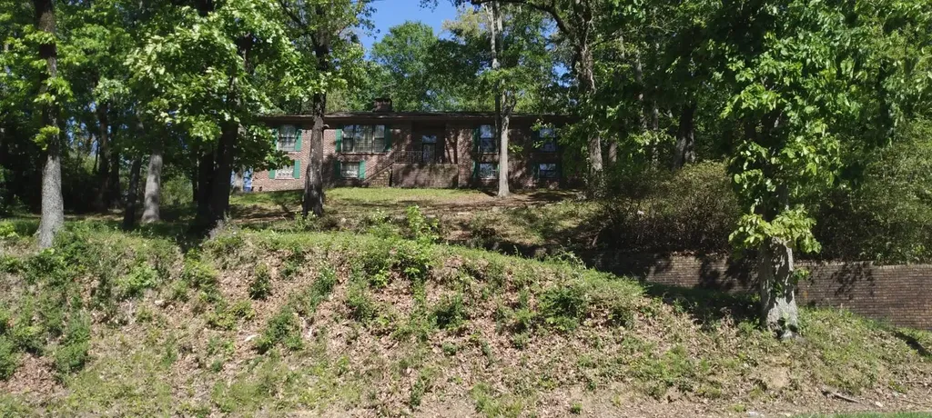 1035 Birmingham Street Birmingham AL 35217