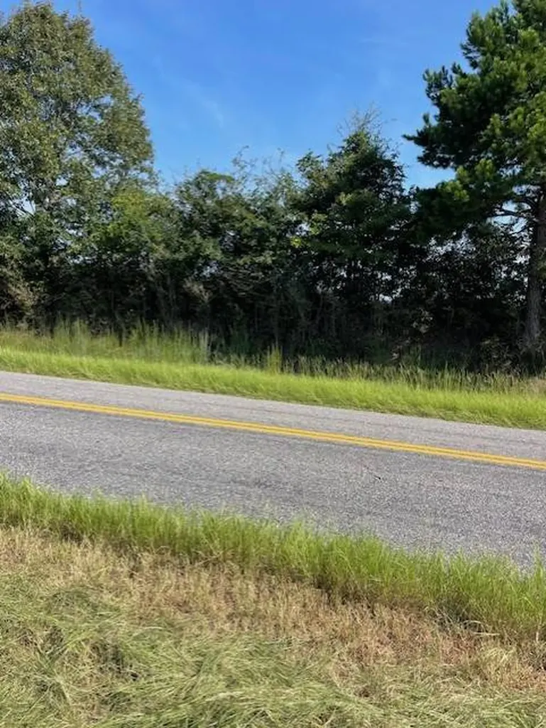 0 Old Three Notch Road Old Three Notch Rd AL 36034