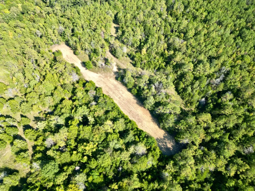 0 County Road 63 Furman AL 36768