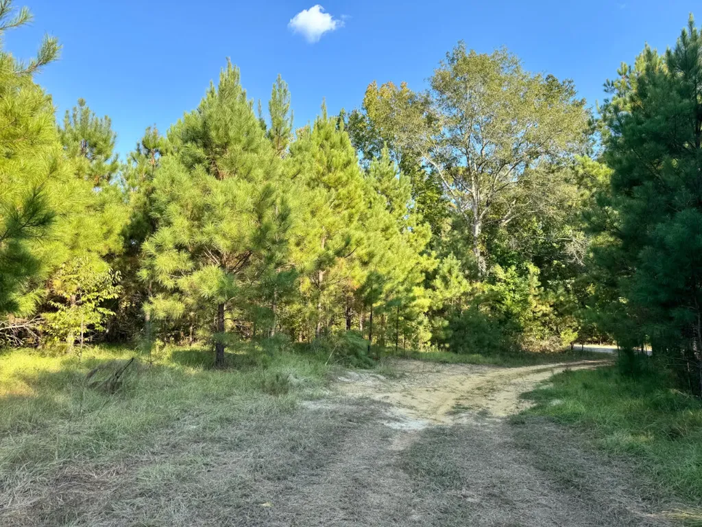 0 County Road 63 Furman AL 36768