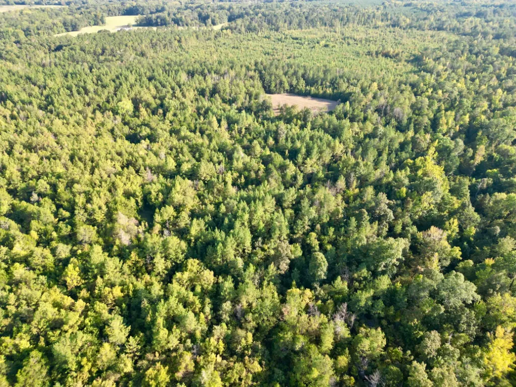 0 County Road 63 Furman AL 36768