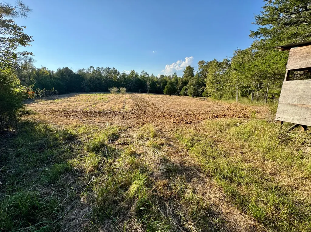 0 County Road 63 Furman AL 36768