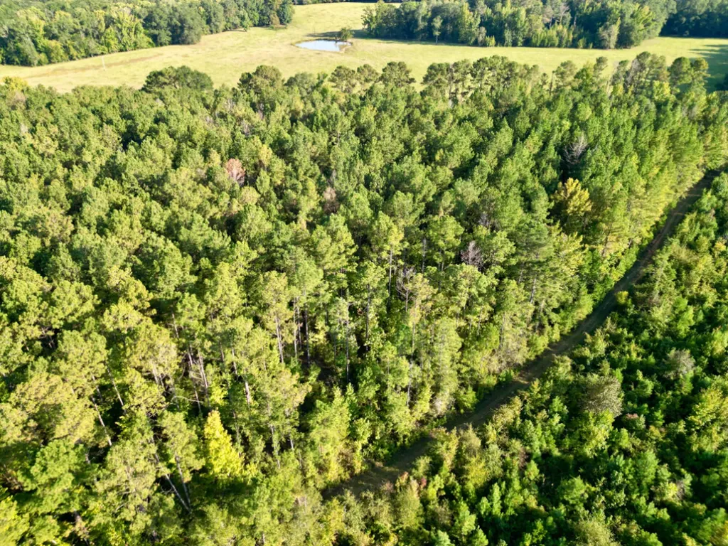 0 County Road 63 Furman AL 36768