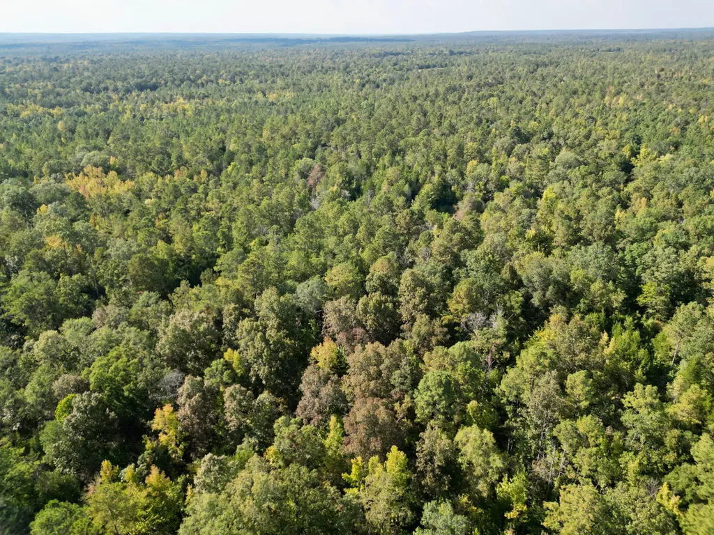 0 County Road 63 Furman AL 36768