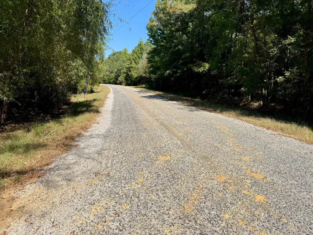 0 County Road 63 Furman AL 36768