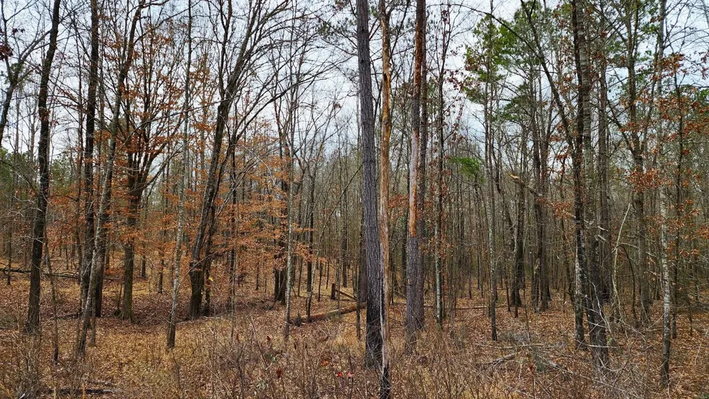 0 Heritage Hill Road Tuskegee AL 36083