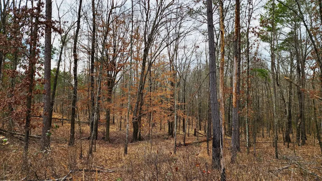 0 Heritage Hill Road Tuskegee AL 36083