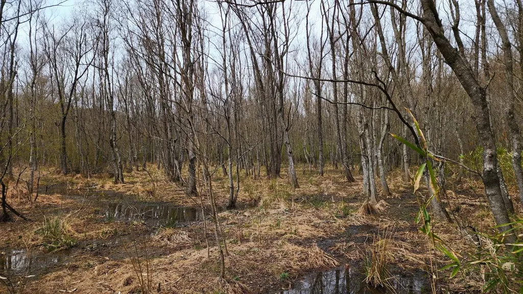 0 Heritage Hill Road Tuskegee AL 36083