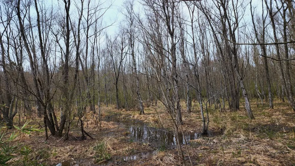 0 Heritage Hill Road Tuskegee AL 36083