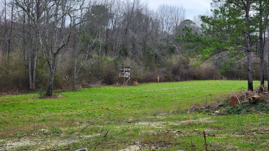 0 Heritage Hill Road Tuskegee AL 36083