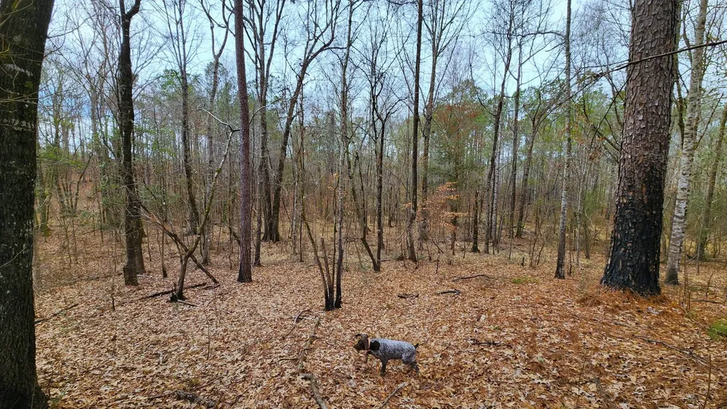 0 Heritage Hill Road Tuskegee AL 36083