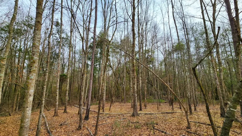 0 Heritage Hill Road Tuskegee AL 36083