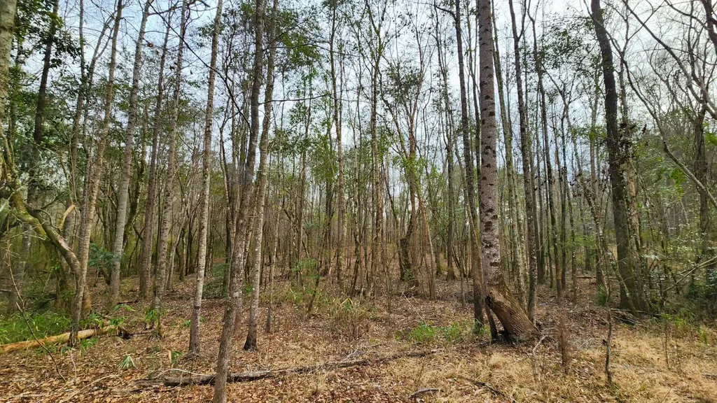 0 Heritage Hill Road Tuskegee AL 36083