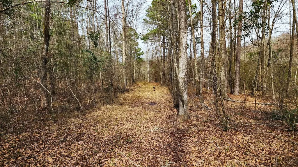 0 Heritage Hill Road Tuskegee AL 36083