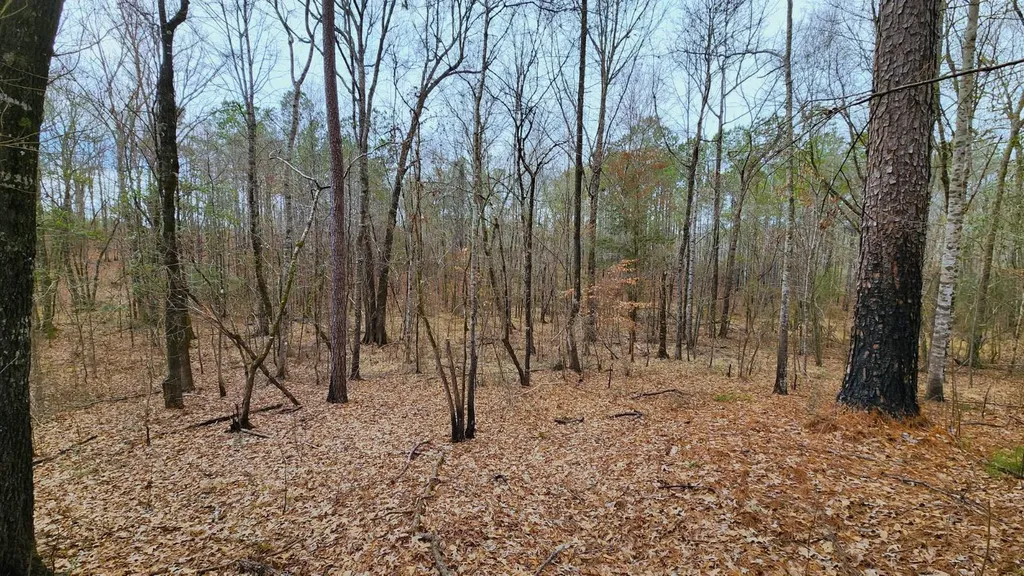 0 Heritage Hill Road Tuskegee AL 36083