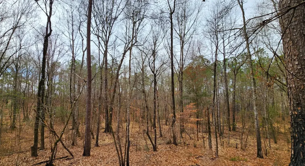 0 Heritage Hill Road Tuskegee AL 36083