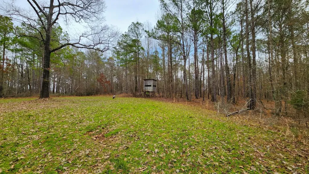 0 Heritage Hill Road Tuskegee AL 36083