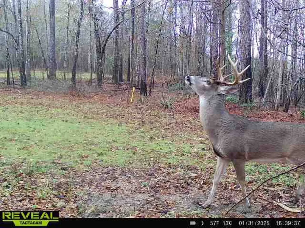 0 Heritage Hill Road Tuskegee AL 36083