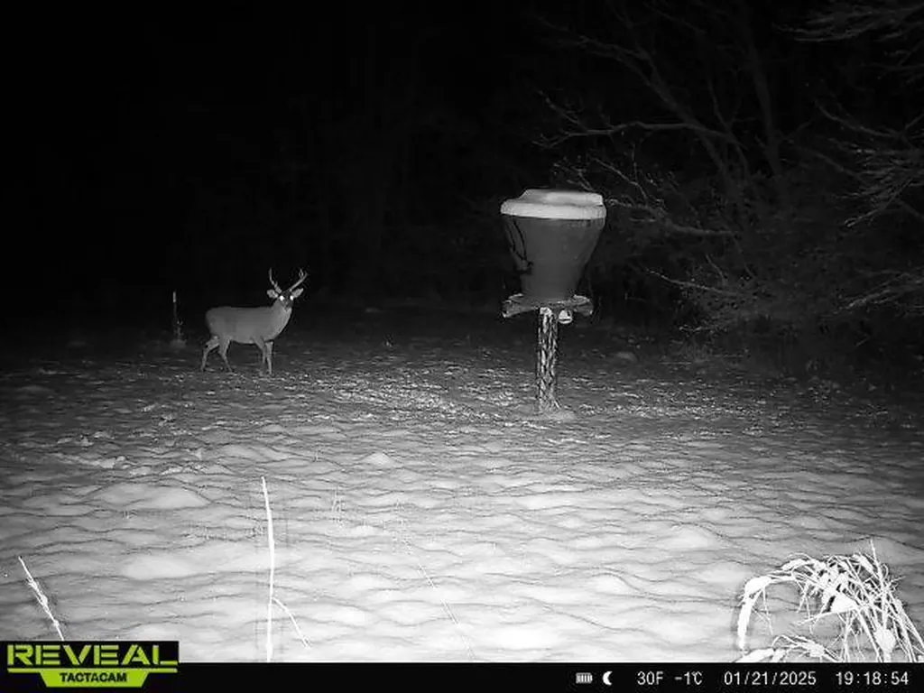 0 Heritage Hill Road Tuskegee AL 36083