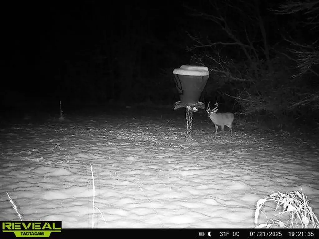 0 Heritage Hill Road Tuskegee AL 36083