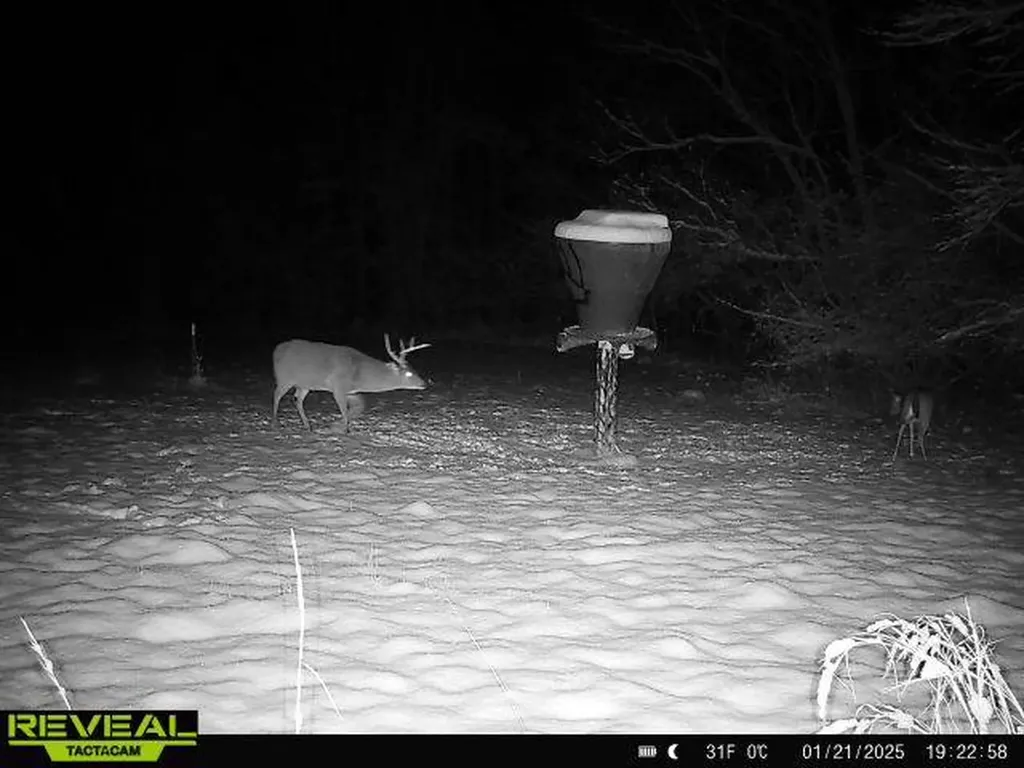 0 Heritage Hill Road Tuskegee AL 36083