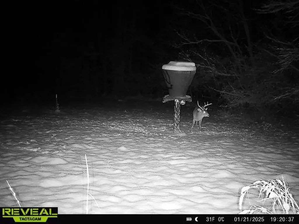 0 Heritage Hill Road Tuskegee AL 36083