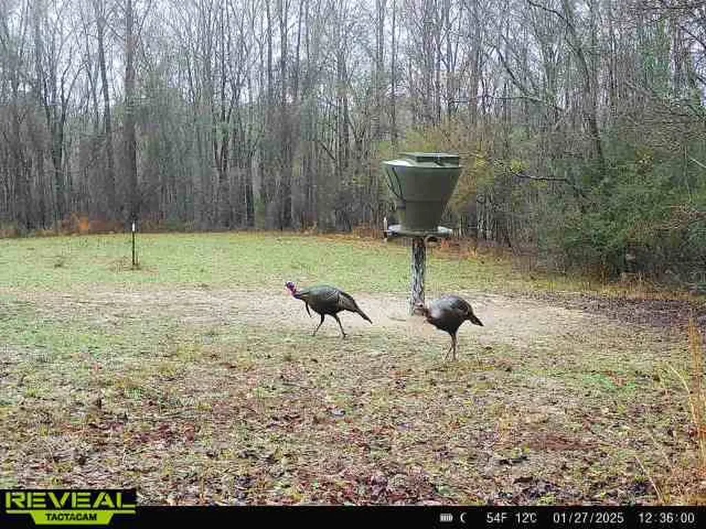 0 Heritage Hill Road Tuskegee AL 36083