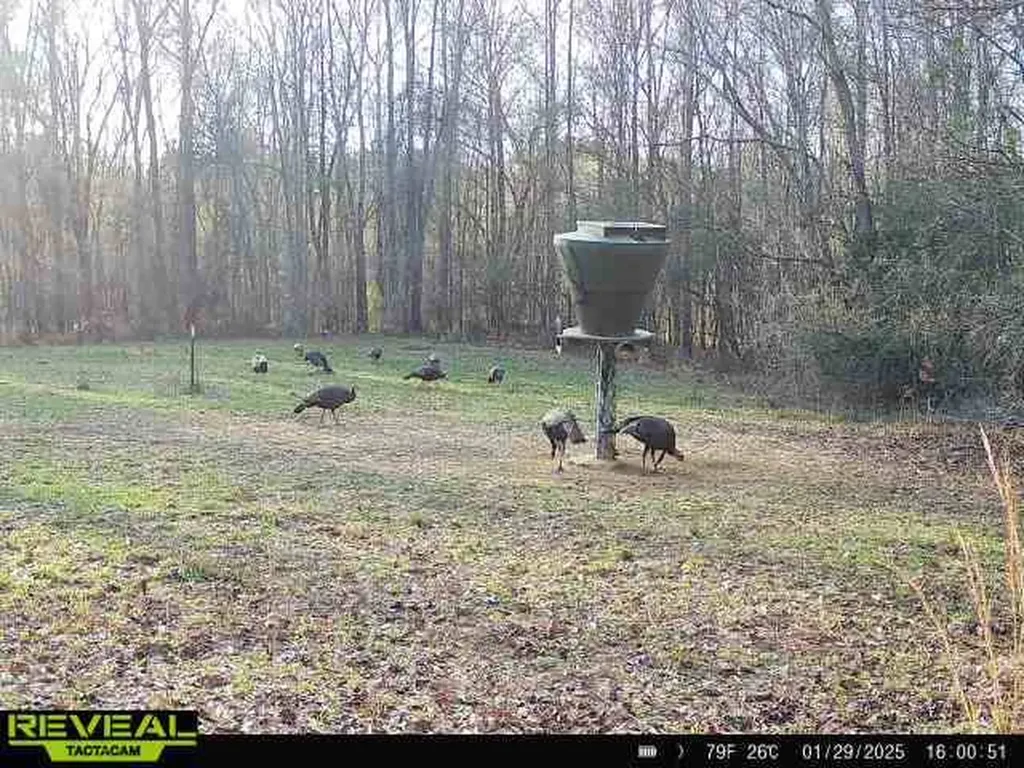 0 Heritage Hill Road Tuskegee AL 36083