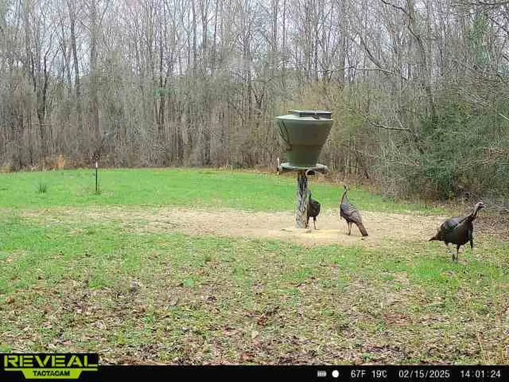 0 Heritage Hill Road Tuskegee AL 36083