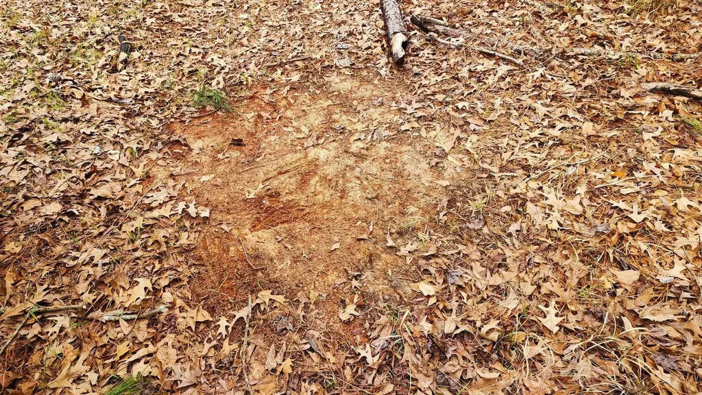 0 Heritage Hill Road Tuskegee AL 36083