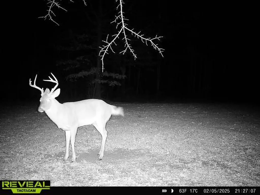 0 Heritage Hill Road Tuskegee AL 36083