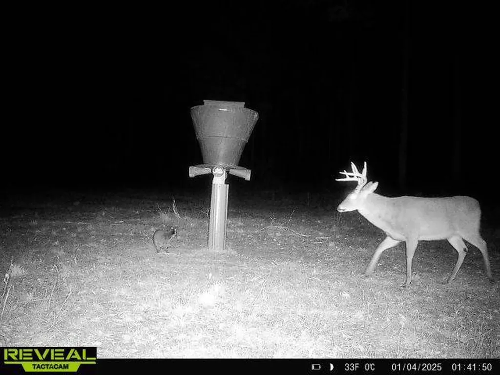 0 Heritage Hill Road Tuskegee AL 36083