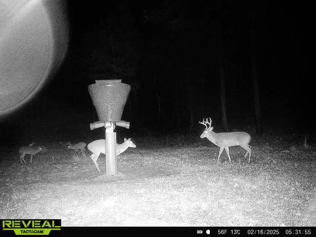 0 Heritage Hill Road Tuskegee AL 36083