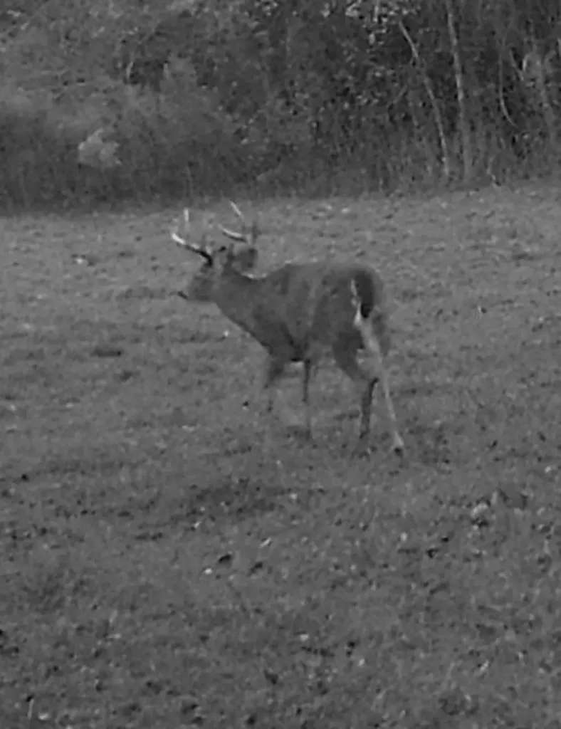 0 Heritage Hill Road Tuskegee AL 36083