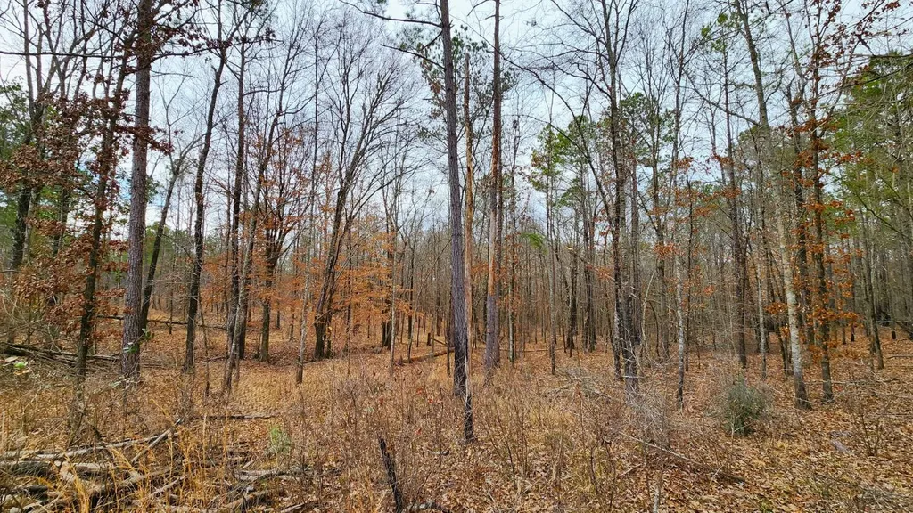 0 Heritage Hill Road Tuskegee AL 36083