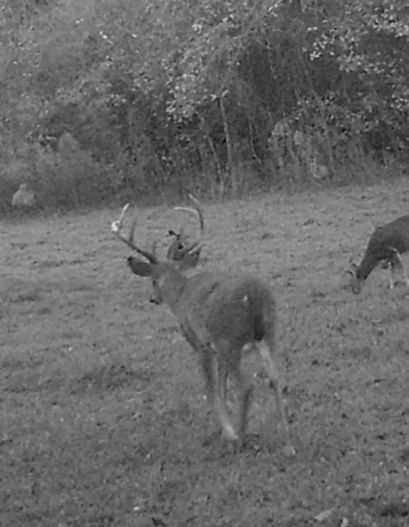 0 Heritage Hill Road Tuskegee AL 36083