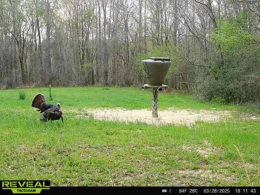 0 Heritage Hill Road Tuskegee AL 36083