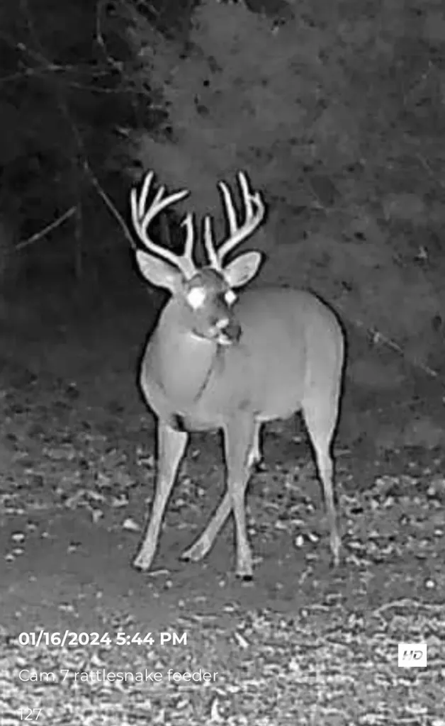 0 Heritage Hill Road Tuskegee AL 36083