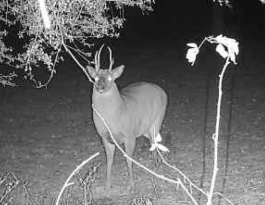 0 Heritage Hill Road Tuskegee AL 36083