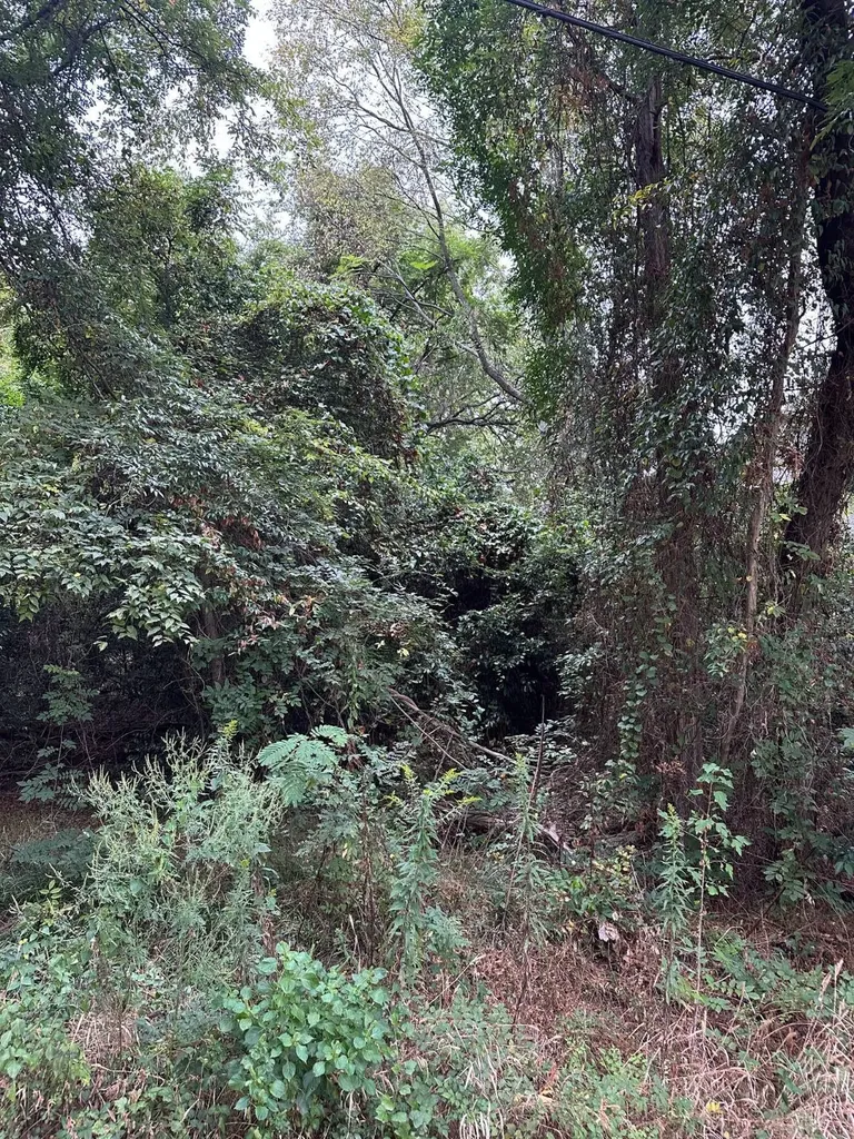 2052 23rd Avenue S Birmingham AL 35223