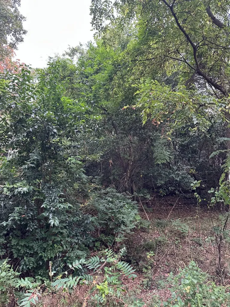 2052 23rd Avenue S Birmingham AL 35223