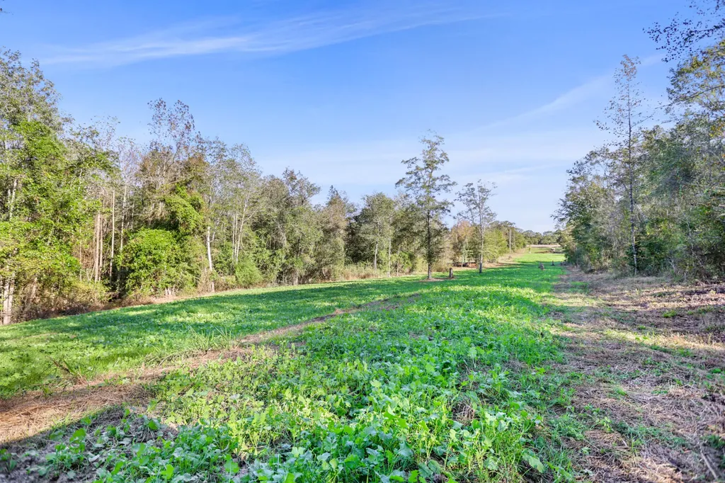 30 County Road 41 Clio AL 36017