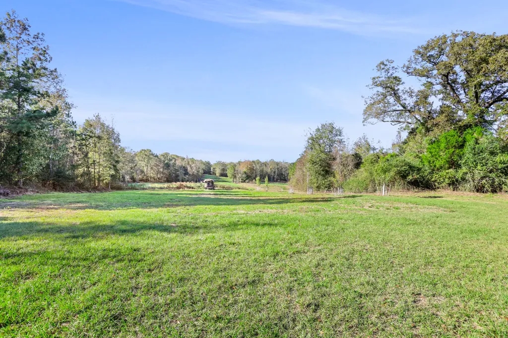 30 County Road 41 Clio AL 36017