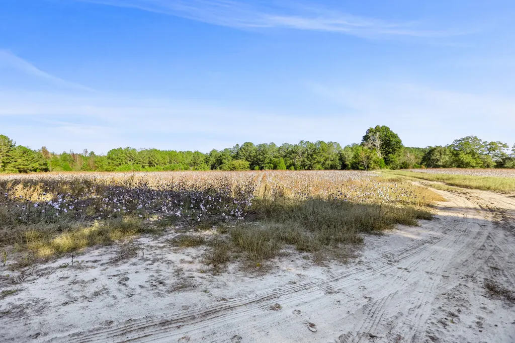 30 County Road 41 Clio AL 36017