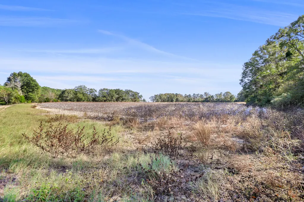 30 County Road 41 Clio AL 36017