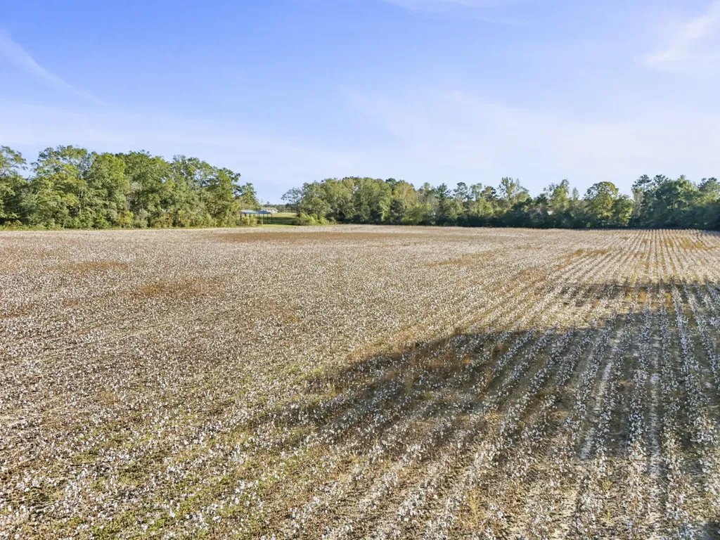 30 County Road 41 Clio AL 36017