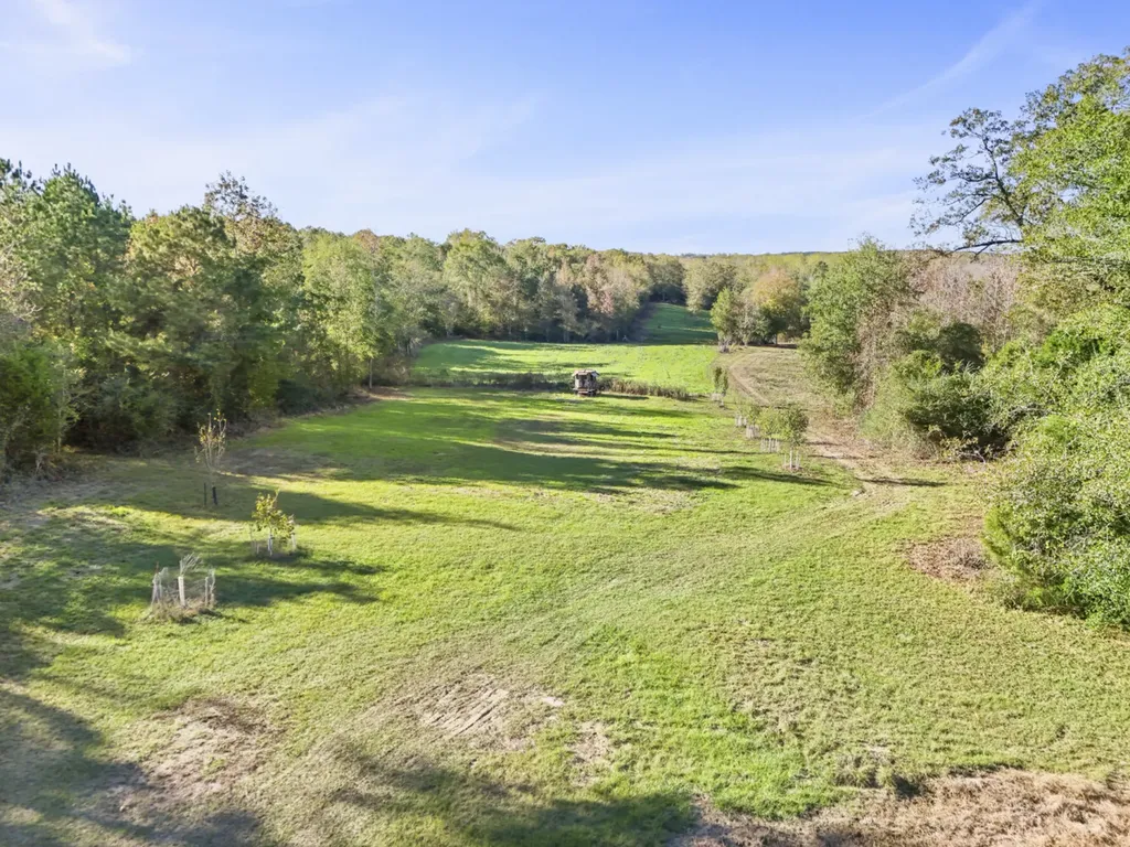 30 County Road 41 Clio AL 36017