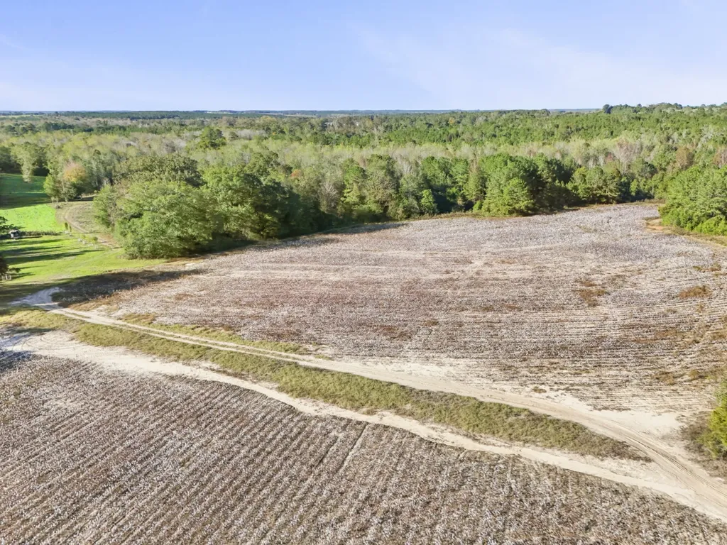 30 County Road 41 Clio AL 36017